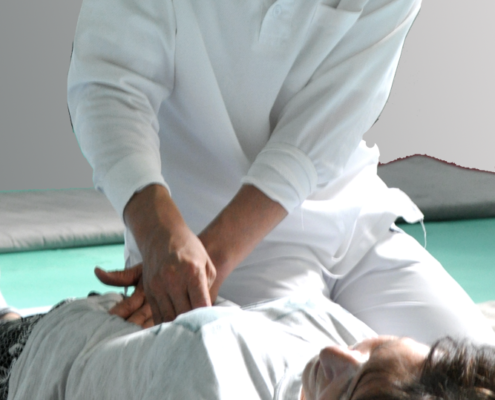diagnosi nello shiatsu Masunaga